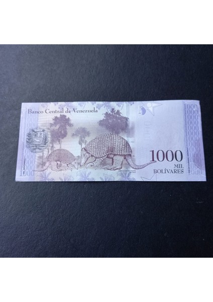 3996368F6220541A44 2017 Venezuela 1000 Bolivar Çil Kağıt Para modelleri