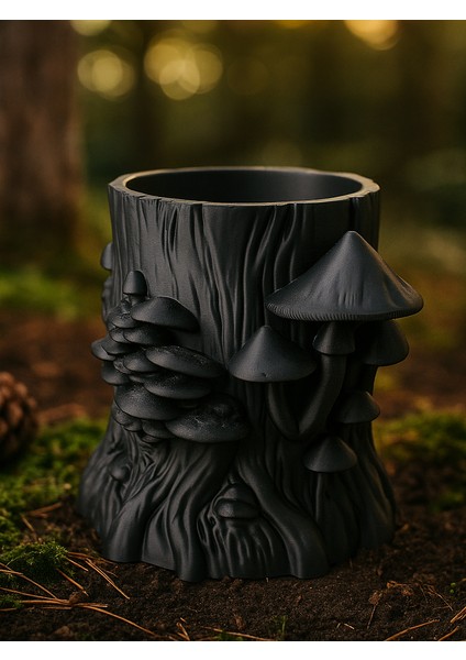 Etrafı Mantarlı Takı Kutusu Masaüstü Organizeri