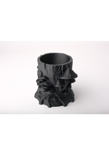 Etrafı Mantarlı Takı Kutusu Masaüstü Organizeri fiyatları