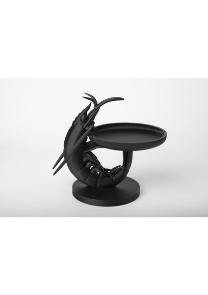 Karides Takı Kutusu Masaüstü Organizeri fiyatları