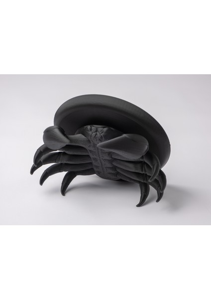 Yengecin Taşıdığı Takı Tepsisi Takı Kutusu Masaüstü Organizeri modelleri