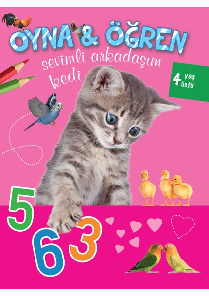 Oyna Öğren Sevimli Arkadaşım Kedi 4 Yaş Üstü
