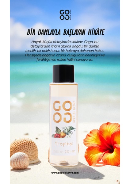 Gogo Tropikal Kolonya 250ML Plastik Şişe - 20 Adet fiyatları