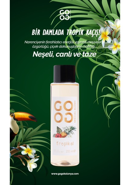 Gogo Tropikal Kolonya 250ML Plastik Şişe - 20 Adet modelleri