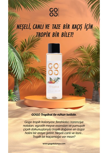 Gogo Tropikal Kolonya 250ML Plastik Şişe - 20 Adet