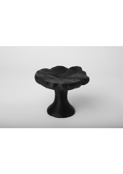 Mantar Şeklinde Takı Kutusu Masaüstü Organizeri fiyatları