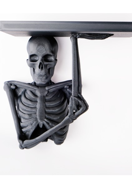 Iskelet Şeklinde Duvar Takı Tepsisi Takı Kutusu Masaüstü Organizeri