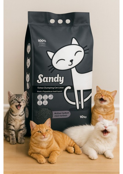 Max Aktif Karbonlu Topaklanan Tozsuz Kedi Kumu 10KG 2'li fiyatları