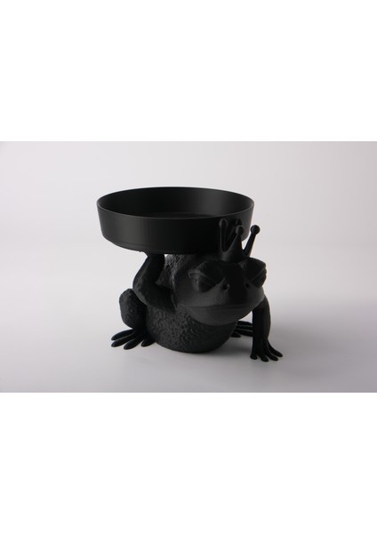 Kurbağa Prens Takı Kutusu Masaüstü Organizeri fiyatları