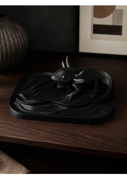 Axoloti Desenli Dekor Takı Kutusu Masaüstü Organizeri