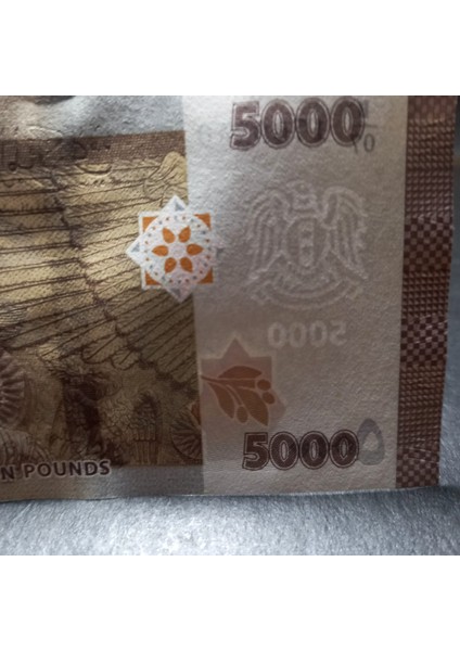 3996368F6359F7BB5D 2019 Suriye 5000 Pound Çil Kağıt Para fiyatları