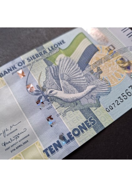 3996368F63B23AFA0C 2022 Sierra 5/10 Leones Takım Çil Kağıt Para modelleri