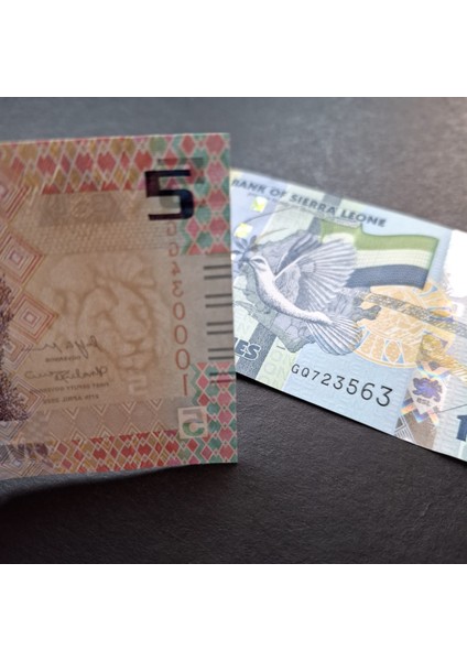 3996368F63B23AFA0C 2022 Sierra 5/10 Leones Takım Çil Kağıt Para indirimleri