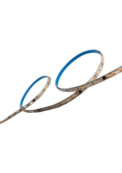 220 Volt Dim Edilebilir Şerit Led 10 Cm De Kesilebilir M/120 Led Kırmızı 5M İP65