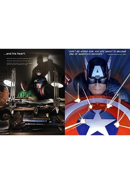 The Comics Art Of Ross fiyatları