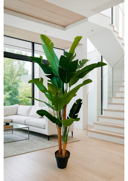 Yapay Muz 3 Gövdeli 200 cm Dekoratif Modern Ağaç