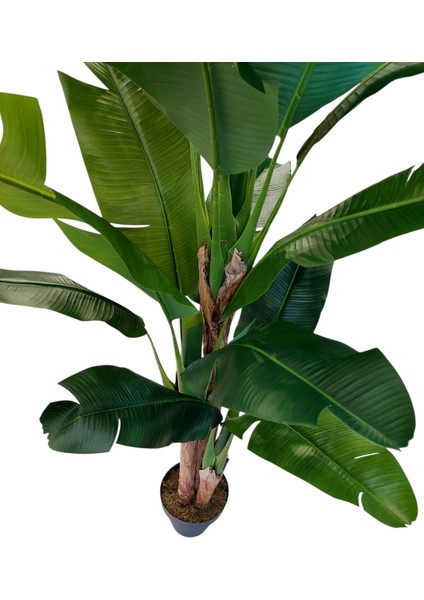 Yapay Muz 3 Gövdeli 200 cm Dekoratif Modern Ağaç modelleri