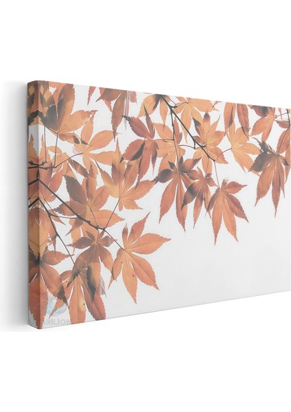 Kanvas Yatay Duvar Tablosu Kanvas Sonbahar Yapraklari2 Ev Ofis Salon Modern Duvar Tablosu