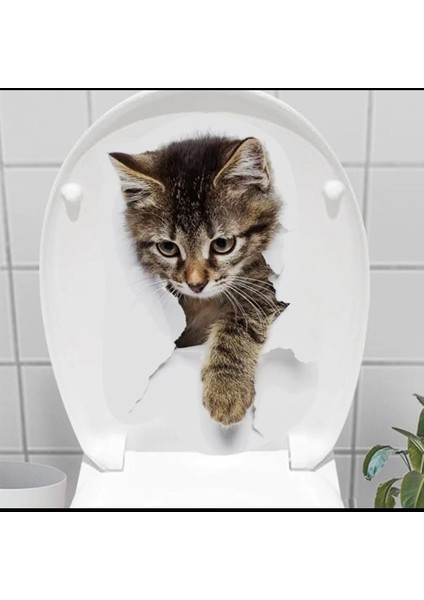 Decohandy Klozet Etiketi Stray Cat