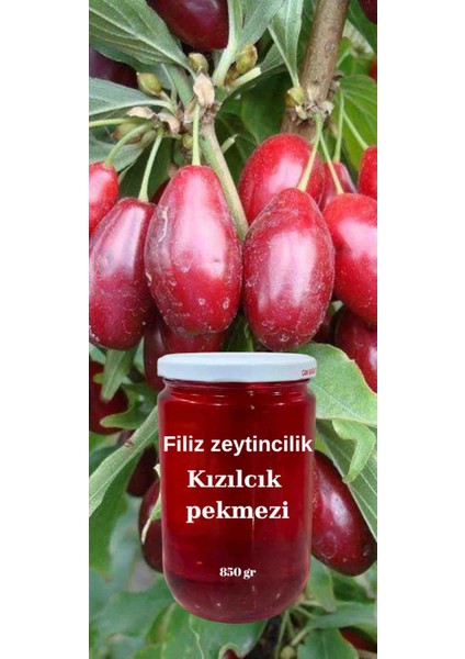 Kızılcık Pekmezi 850 gr