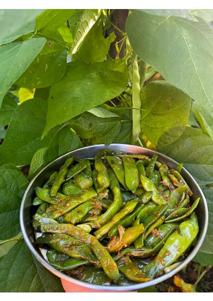 FASULYE TURŞUSU 3 KG modelleri