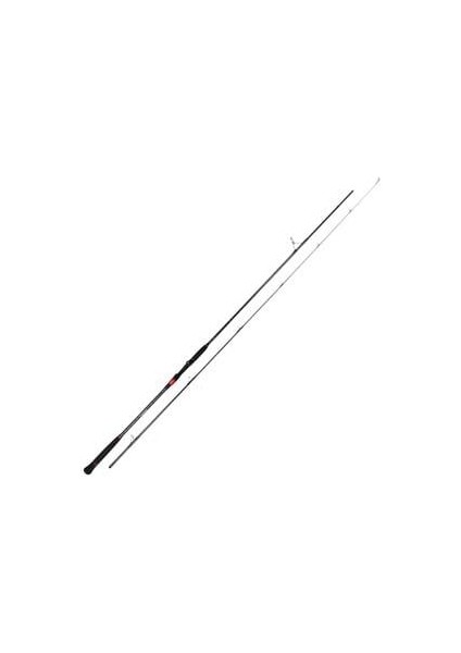 Athen Seabass 2,90M 20-80GR