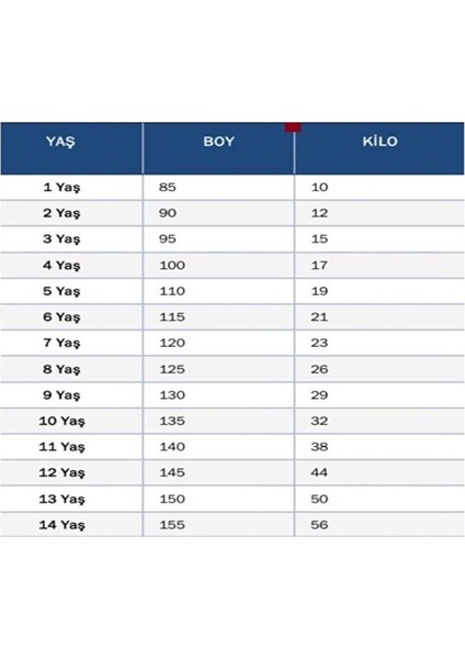 Almanya Milli Takım Iç Saha Wirtz 17 Çocuk Forması 4 Lü Set modelleri
