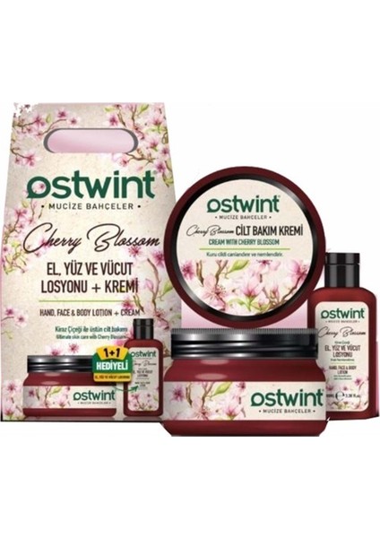 300 ml Krem 100 ml Losyon Set Kiraz Çiçeği