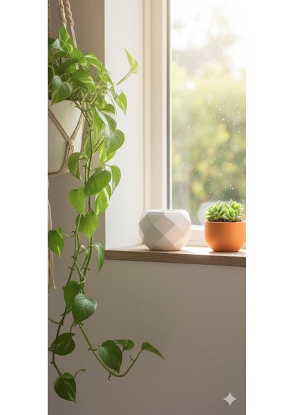 Saksı Kaktüs ve Skulent Saksı Prizma modelleri