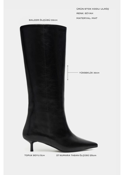 Ulrich Siyah Mat Ince Topuk Sivri Burun Kadın Çizme fiyatları