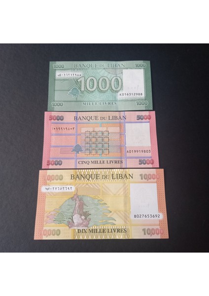 3996368F63C065D922 Lübnan 1000/5000/10.000 Livres Çil Eski Yabancı Kağıt Para fiyatları