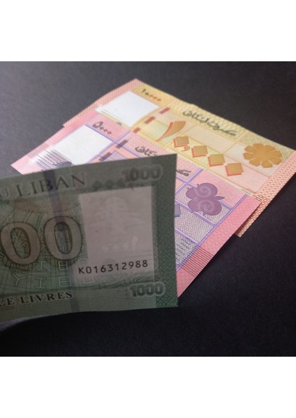 3996368F63C065D922 Lübnan 1000/5000/10.000 Livres Çil Eski Yabancı Kağıt Para modelleri