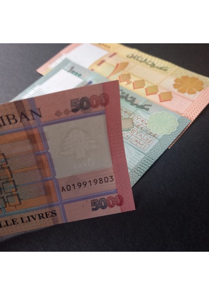 3996368F63C065D922 Lübnan 1000/5000/10.000 Livres Çil Eski Yabancı Kağıt Para fırsatları