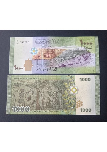 3996368F6345C0F747 Suriye 1000 Pound Çil Eski Yabancı Kağıt Para