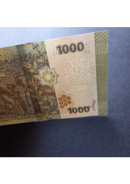 3996368F6345C0F747 Suriye 1000 Pound Çil Eski Yabancı Kağıt Para fiyatları
