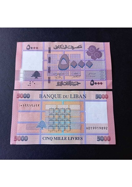 3996368F4234D92C09 Lübnan 5000 Livres Çil Eski Yabancı Kağıt Para