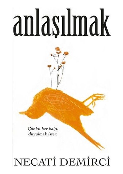 Anlaşılmak