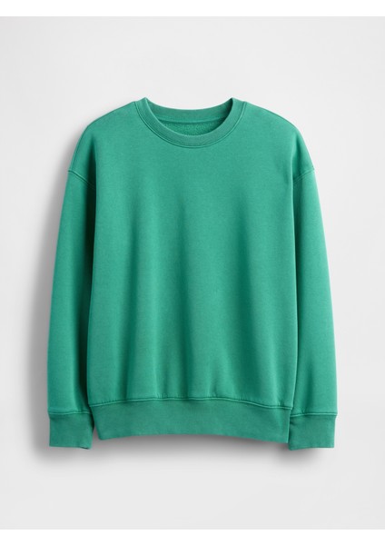 Erkek Çocuk Yeşil Vintagesoft Relaxed Bisiklet Yaka Sweatshirt fiyatları