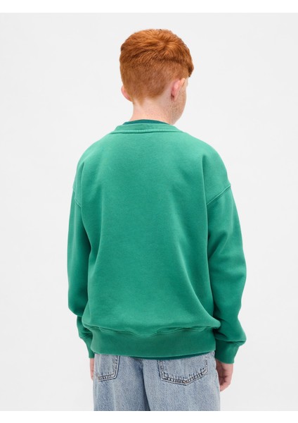 Erkek Çocuk Yeşil Vintagesoft Relaxed Bisiklet Yaka Sweatshirt indirimleri