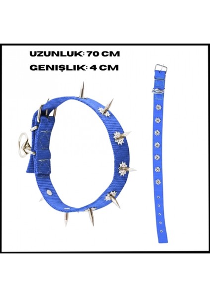 Uyguna-Yakala Mavi 4*70 cm Dokuma Çivili Köpek Boyun TASMASI-SMA.560