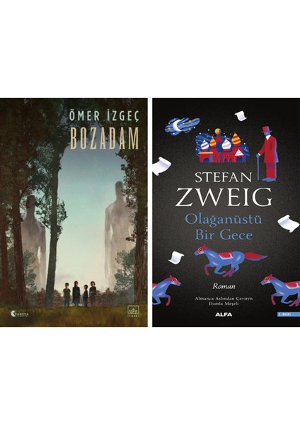 Bozadam + Olağanüstü Bir Gece