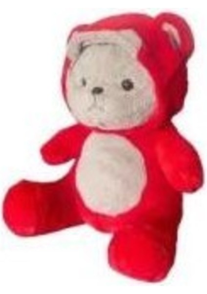 Kapüşonlu Sevimli Ayıcık