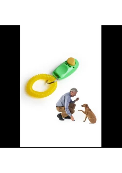 Clicker Köpek Eğitim Aleti