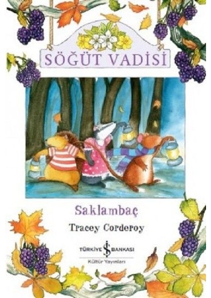 Söğüt Vadisi Saklambaç