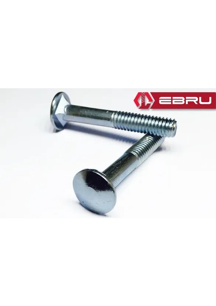 Ebru Kasa Civata 1/4X60 - 200 Adet