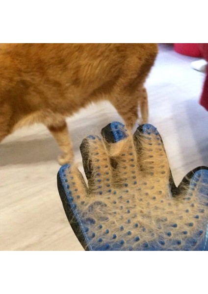 Tüy Toplama Eldiveni fiyatları