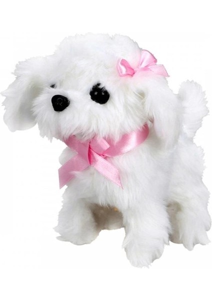 Sunman Sevimli Köpek Maltese