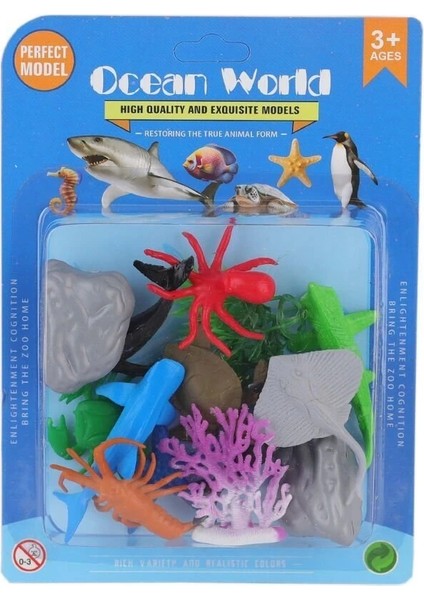 H6 Vakumlu Deniz Hayvanları