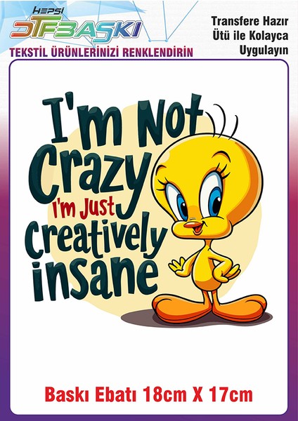 Özel Tasarım Ütü ile Yapışan Kumaş Tekstil Kıyafet Dtf Baskı 2739