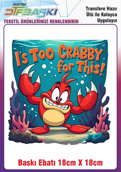 Özel Tasarım Ütü ile Yapışan Kumaş Tekstil Kıyafet Dtf Baskı 2697